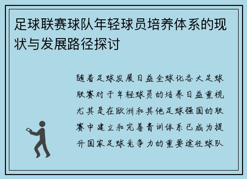 足球联赛球队年轻球员培养体系的现状与发展路径探讨
